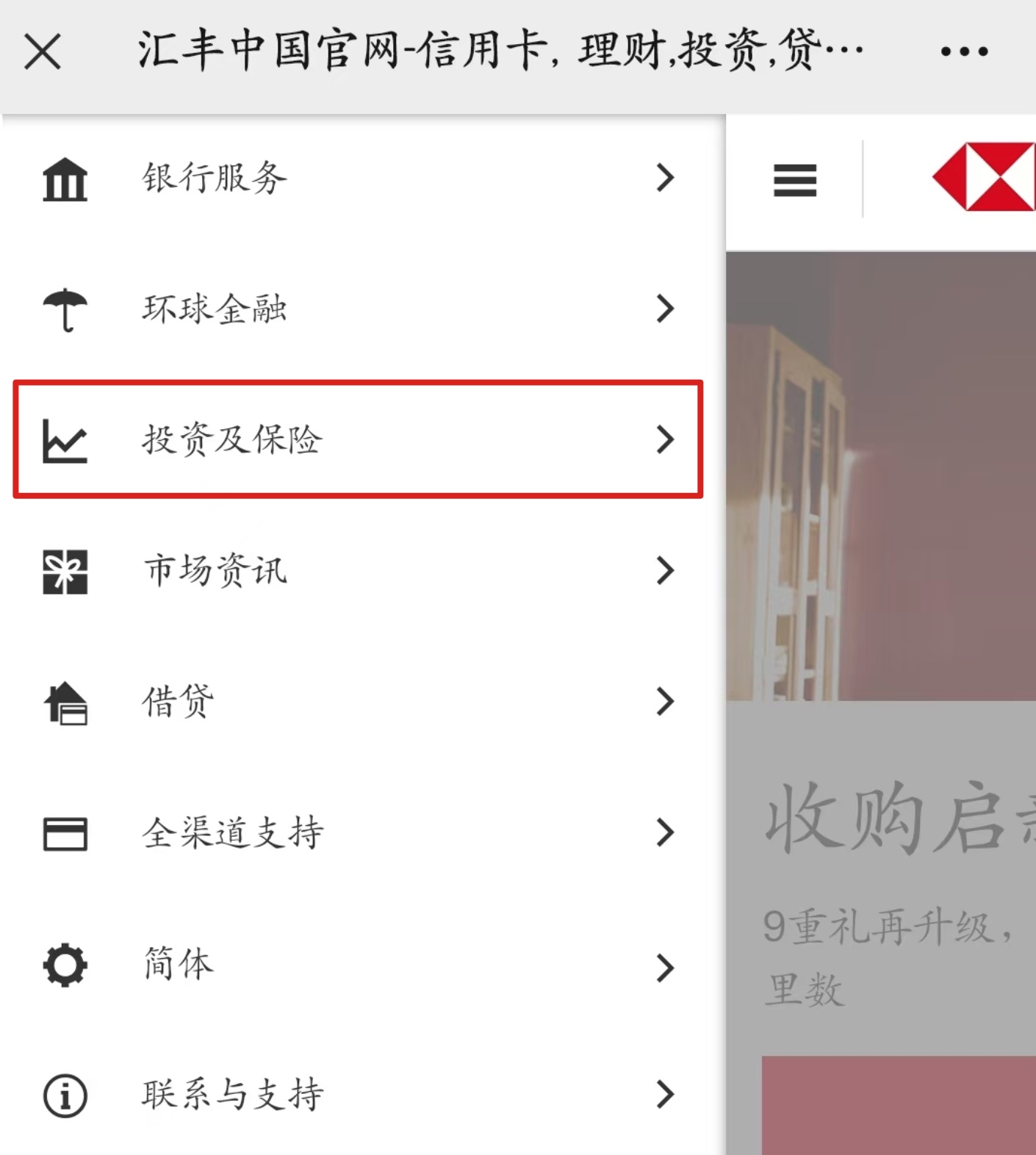 汇丰内地